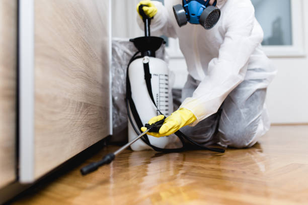 Best Wasp Removal Services  in Kenosha, WI