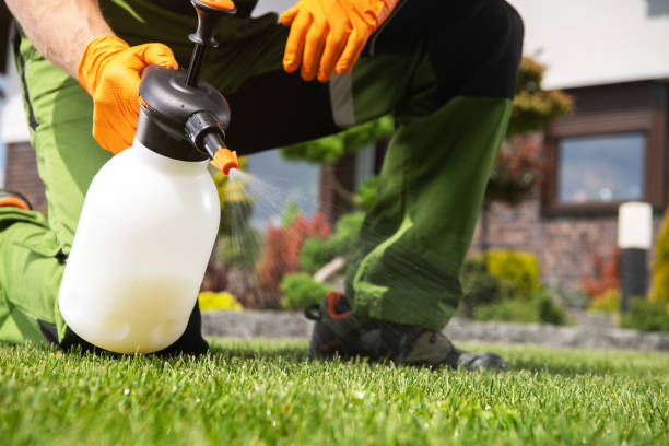 Best Residential Pest Control  in Kenosha, WI