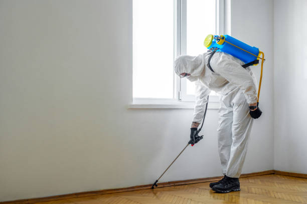 Best Local Pest Control Services  in Kenosha, WI