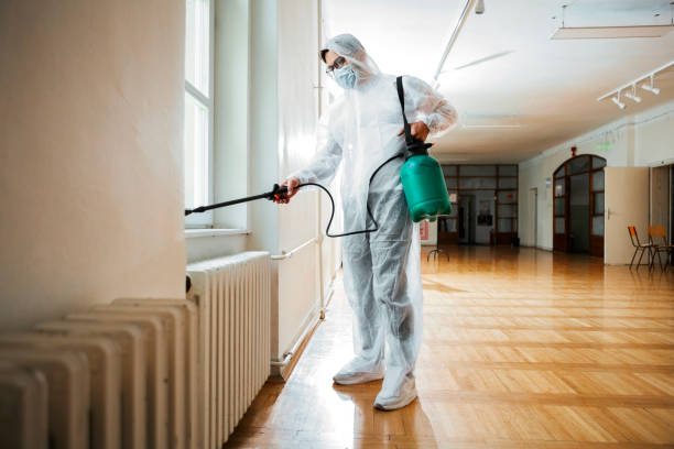 Best Termite Control Services  in Kenosha, WI