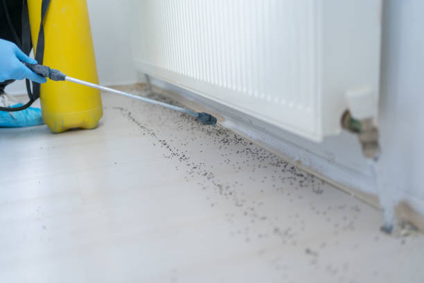 Best Affordable Pest Control Services  in Kenosha, WI