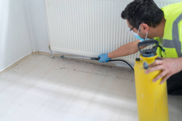 Best Pest Control Near Me  in Kenosha, WI
