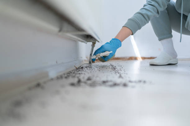 Best Pest Removal Services  in Kenosha, WI