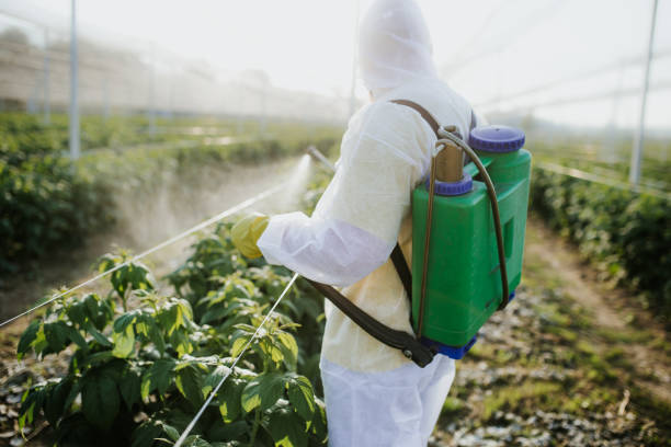 Best Ant Control Services  in Kenosha, WI